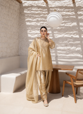 Shanaya Farshi Salwar Suit