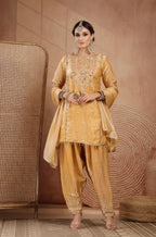 Shanaya Farshi Salwar Suit
