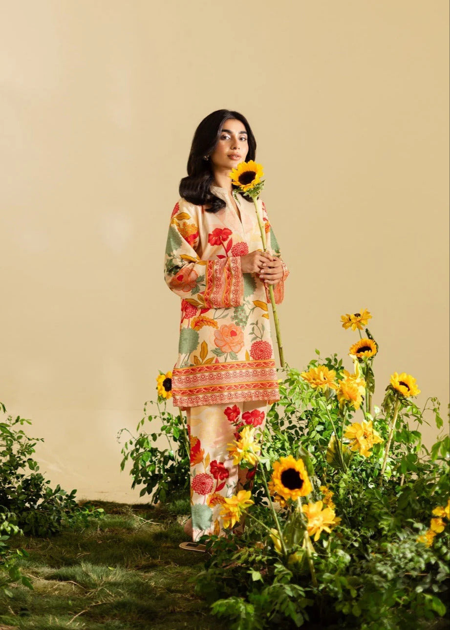 Rajeshwari Co-ords Set