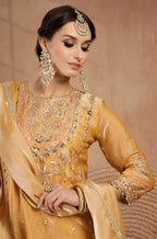 Shanaya Farshi Salwar Suit