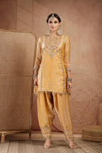 Shanaya Farshi Salwar Suit
