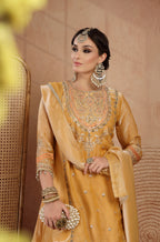 Shanaya Farshi Salwar Suit