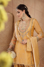 Shanaya Farshi Salwar Suit