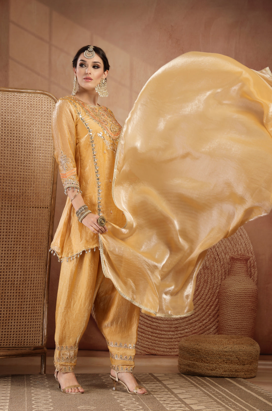 Shanaya Farshi Salwar Suit