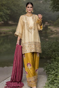 Rishita Farshi Salwar Suit