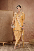 Shanaya Farshi Salwar Suit