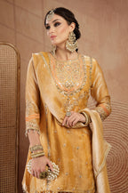 Shanaya Farshi Salwar Suit