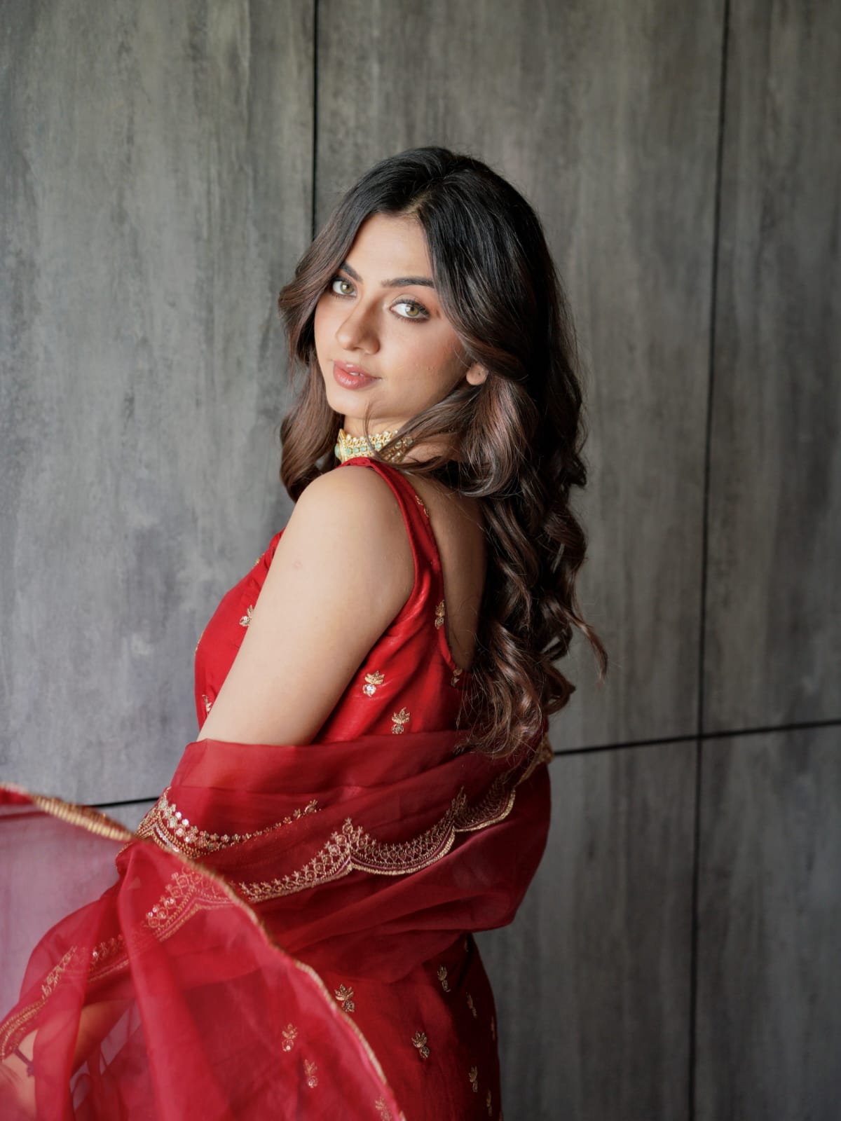 Rajjo C Glass Organza Suit