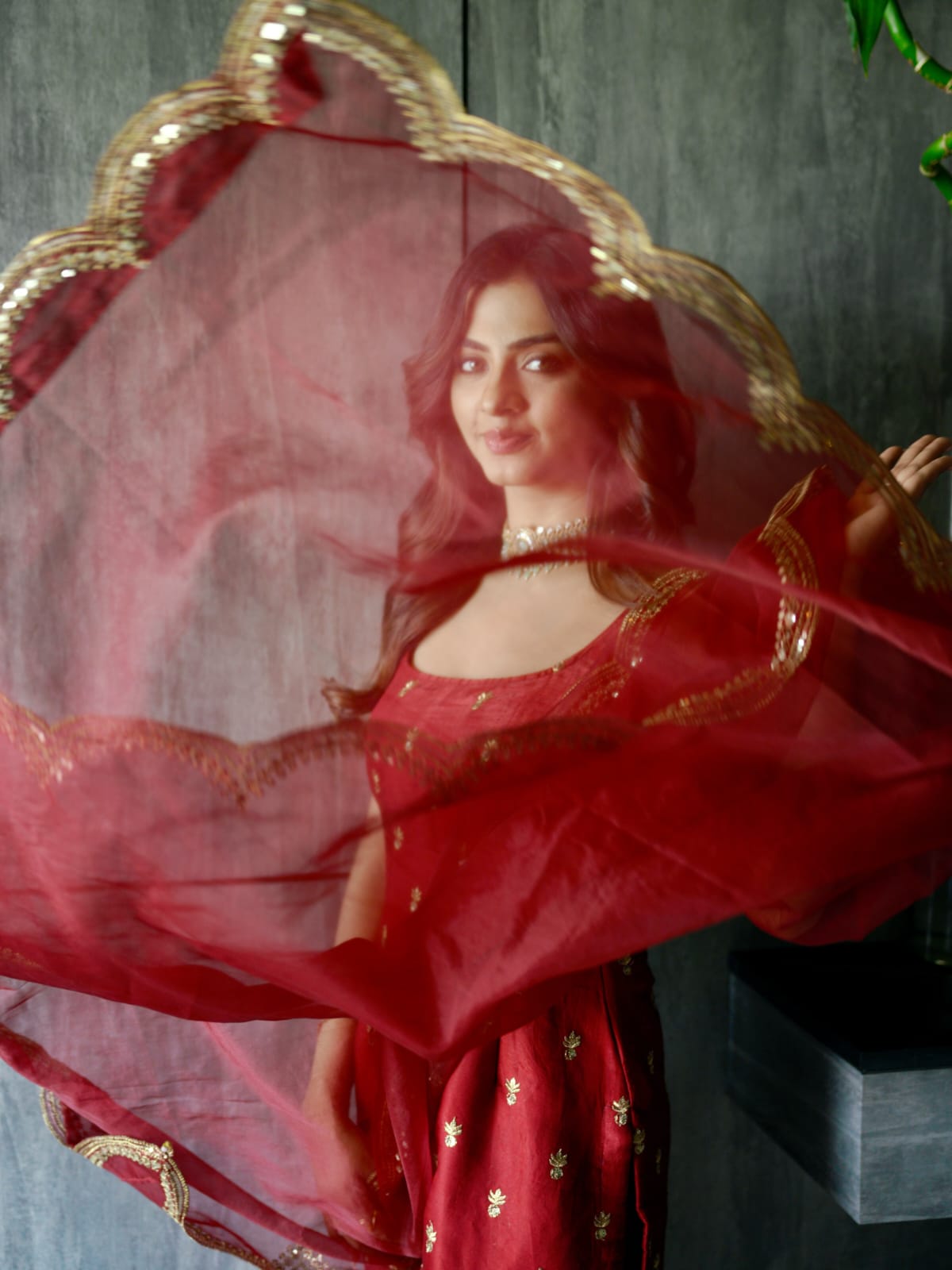 Rajjo C Glass Organza Suit