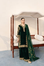 Rubaiyaa Velvet Suit Set